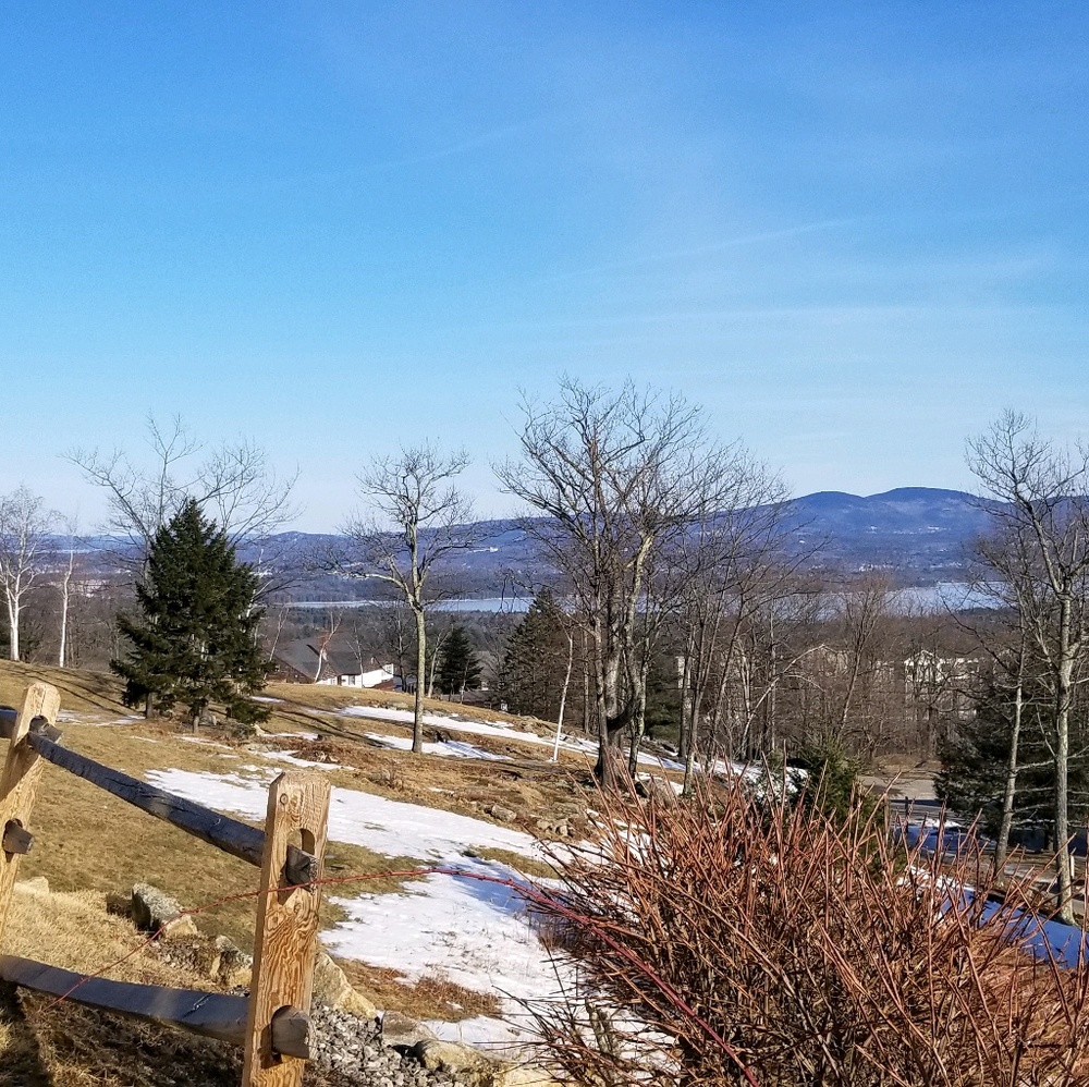 Meet your Posher, Yadira